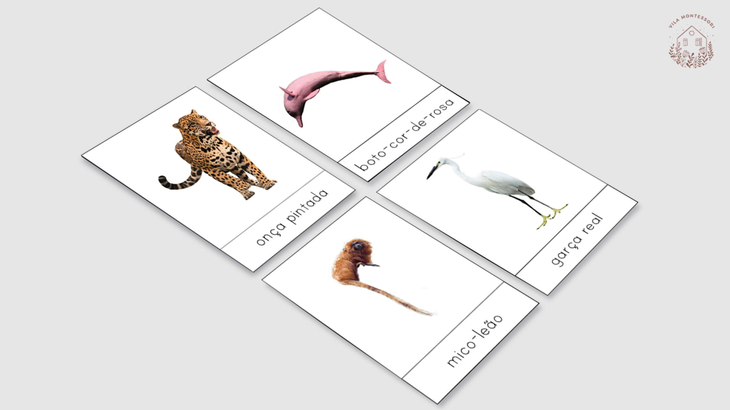 Animais da Amazônia (Cartões de 3 partes)